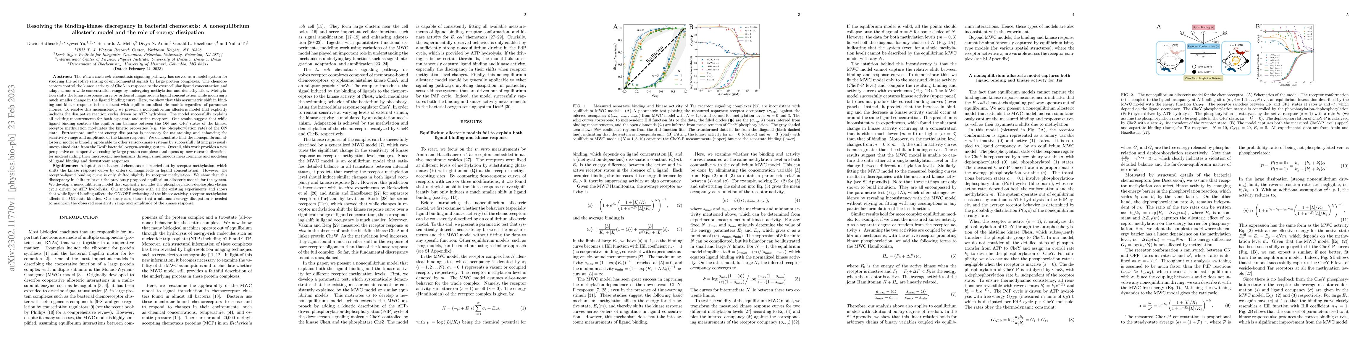 Thumbnail for Resolving the binding-kinase discrepancy in bacterial chemotaxis: A
  nonequilibrium allosteric model and the role of energy dissipation