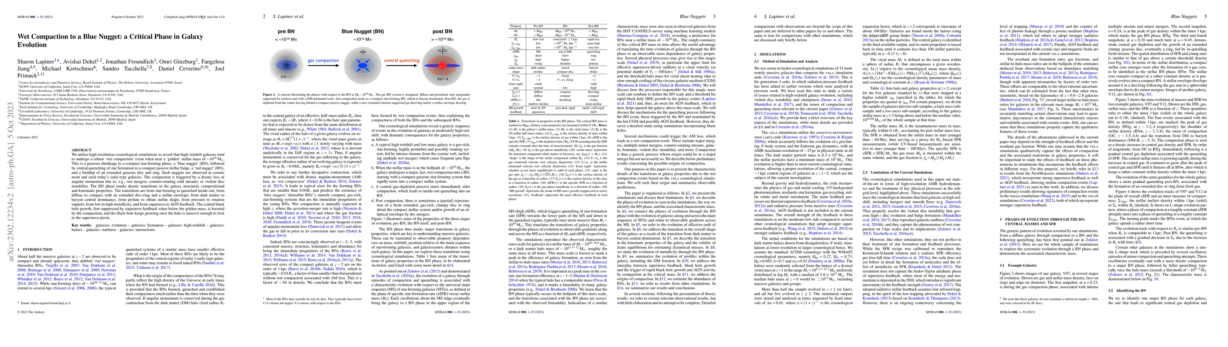 Thumbnail for Wet Compaction to a Blue Nugget: a Critical Phase in Galaxy Evolution
