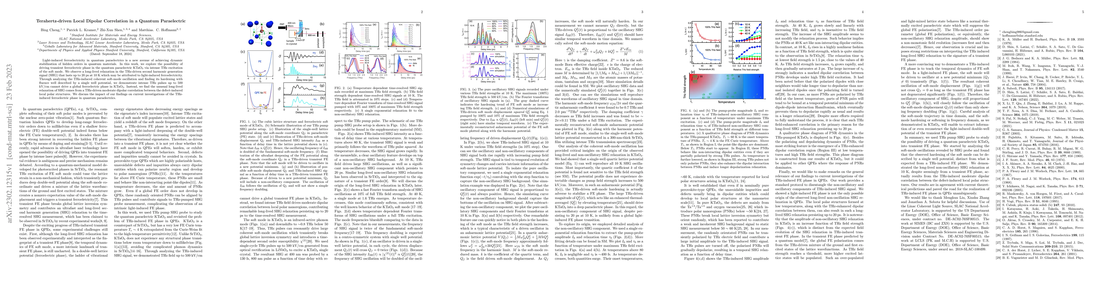 Thumbnail for Terahertz-driven Local Dipolar Correlation in a Quantum Paraelectric