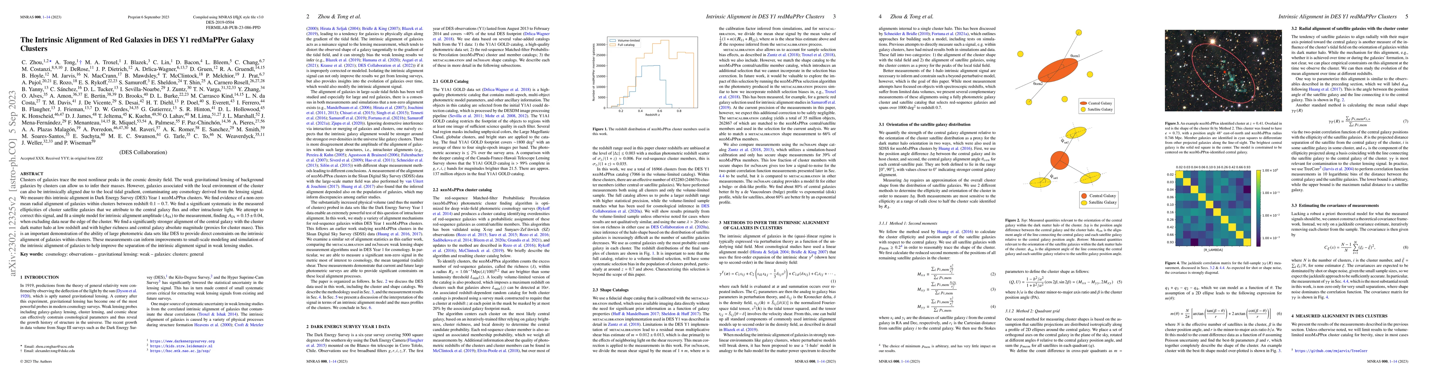 Thumbnail for The Intrinsic Alignment of Red Galaxies in DES Y1 redMaPPer Galaxy
  Clusters