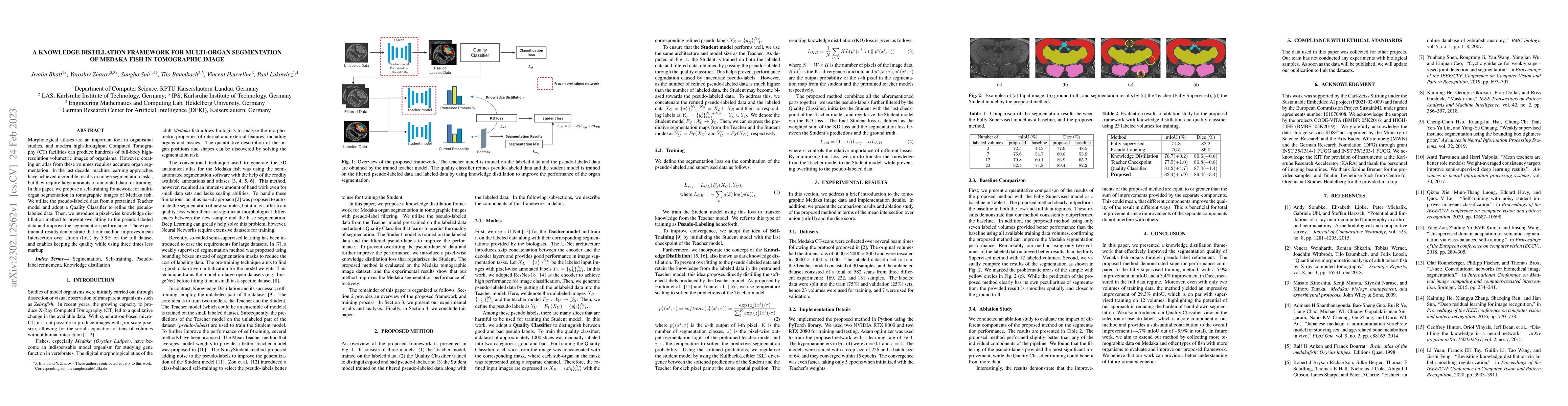 Thumbnail for A Knowledge Distillation framework for Multi-Organ Segmentation of
  Medaka Fish in Tomographic Image