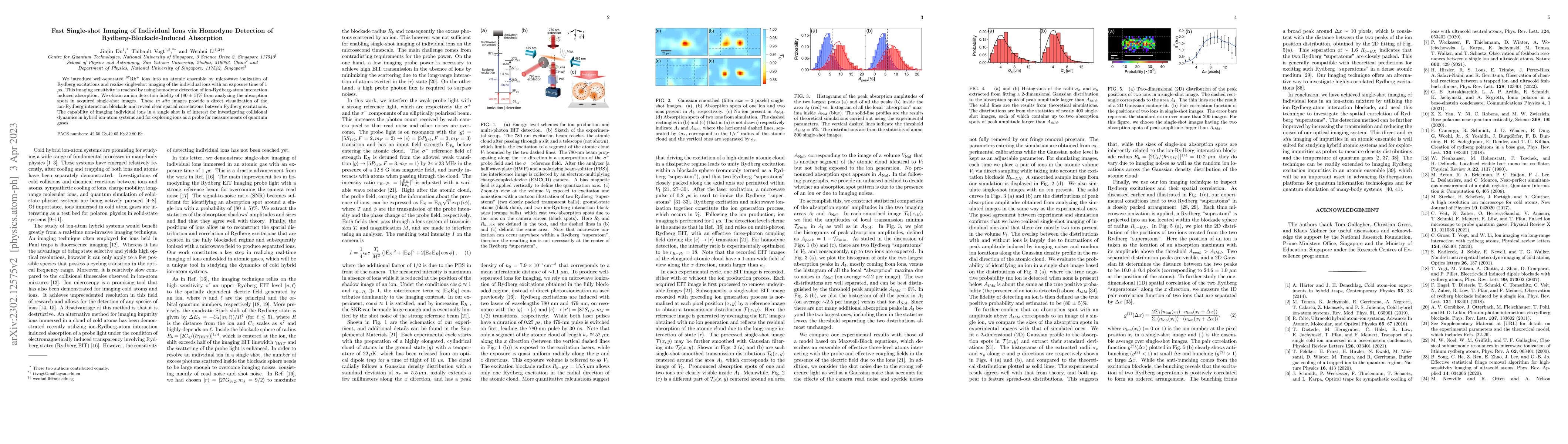 Thumbnail for Fast Single-shot Imaging of Individual Ions via Homodyne Detection of
  Rydberg-Blockade-Induced Absorption