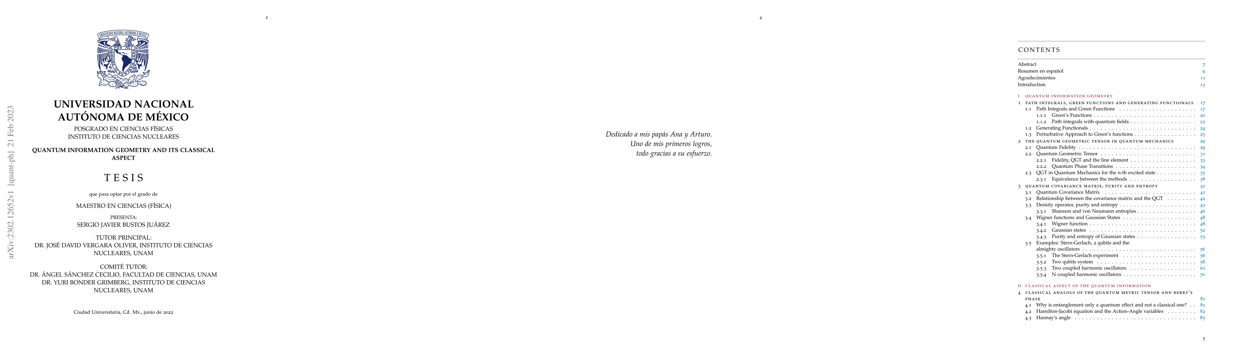 Thumbnail for Quantum Information Geometry and its classical aspect