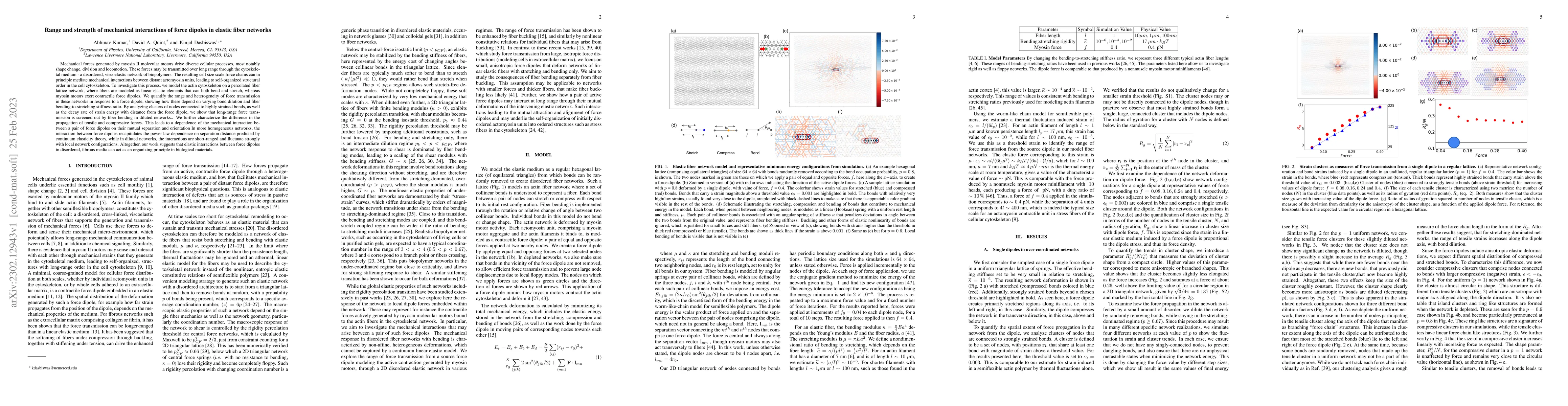 Thumbnail for Range and strength of mechanical interactions of force dipoles in
  elastic fiber networks