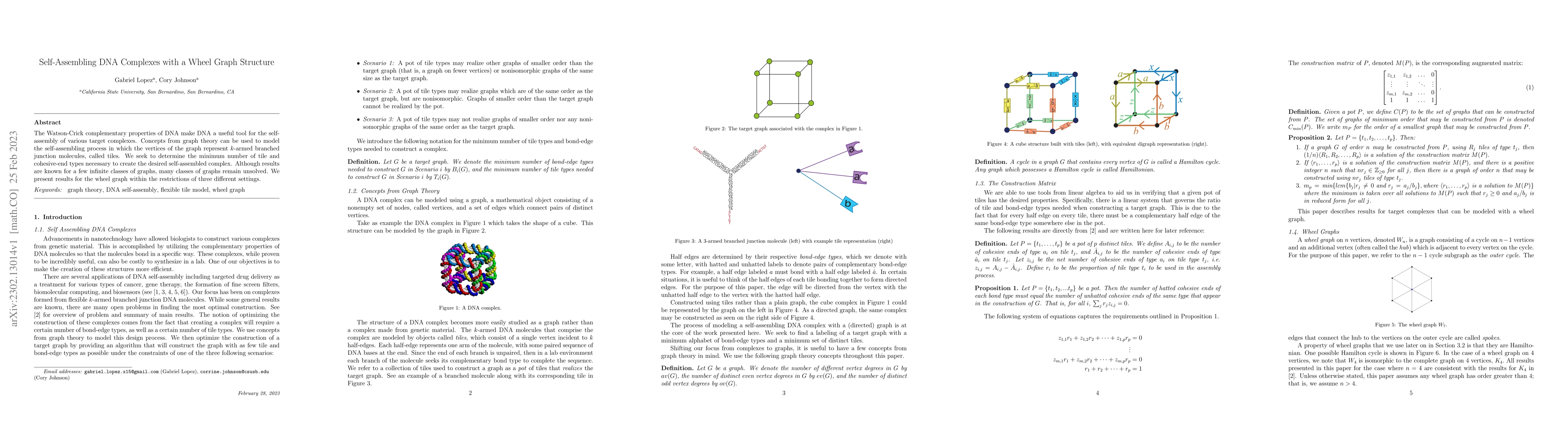 Thumbnail for Self-Assembling DNA Complexes with a Wheel Graph Structure