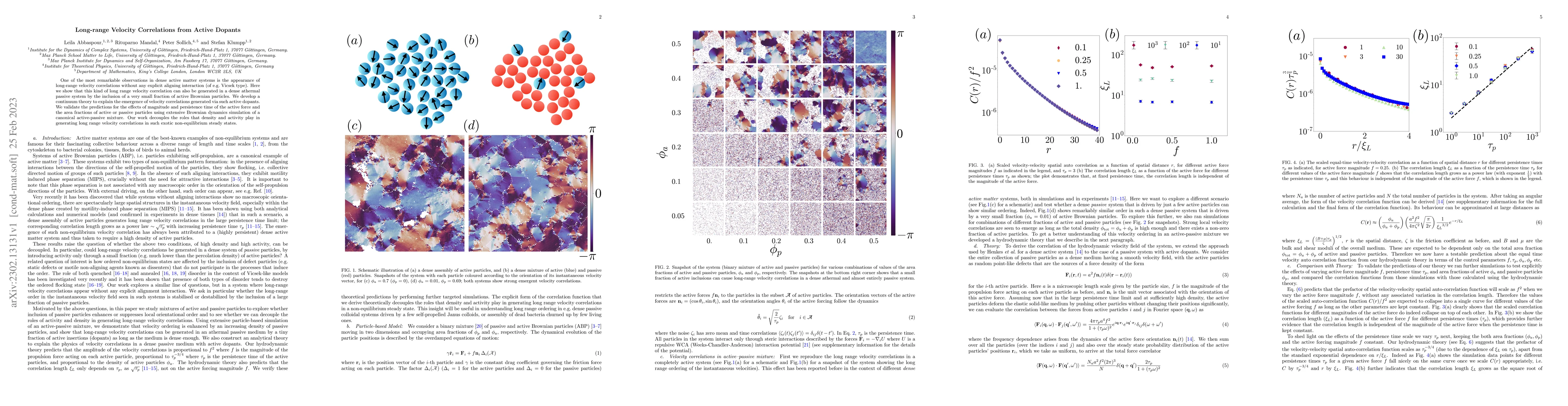 Thumbnail for Long-range Velocity Correlations from Active Dopants
