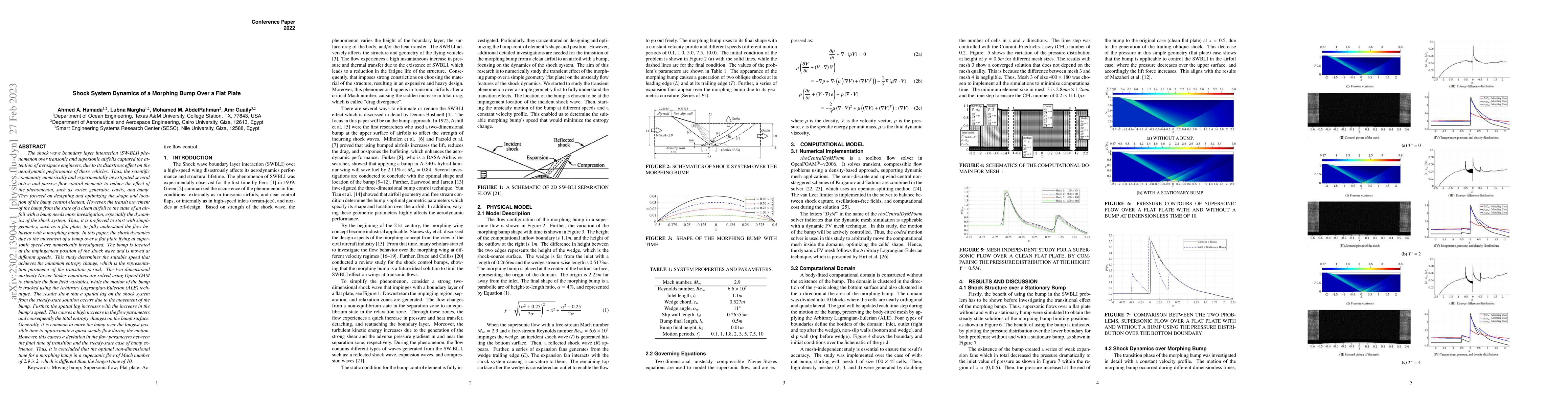 Thumbnail for Shock System Dynamics of a Morphing Bump Over a Flat Plate