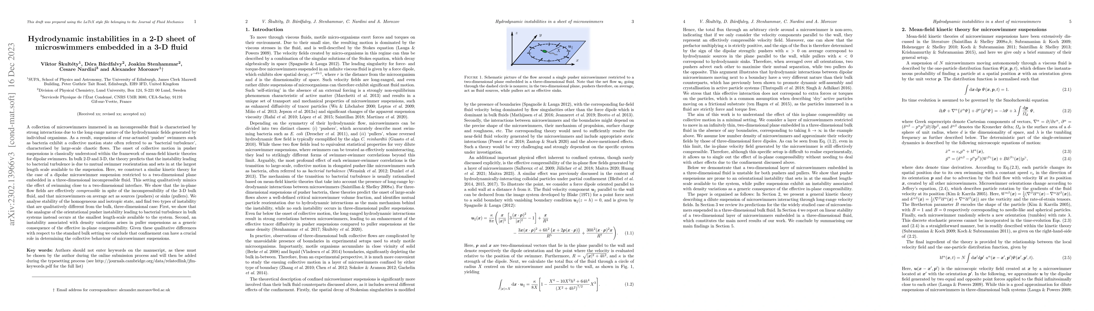 Thumbnail for Hydrodynamic instabilities in a 2-D sheet of microswimmers embedded in a
  3-D fluid