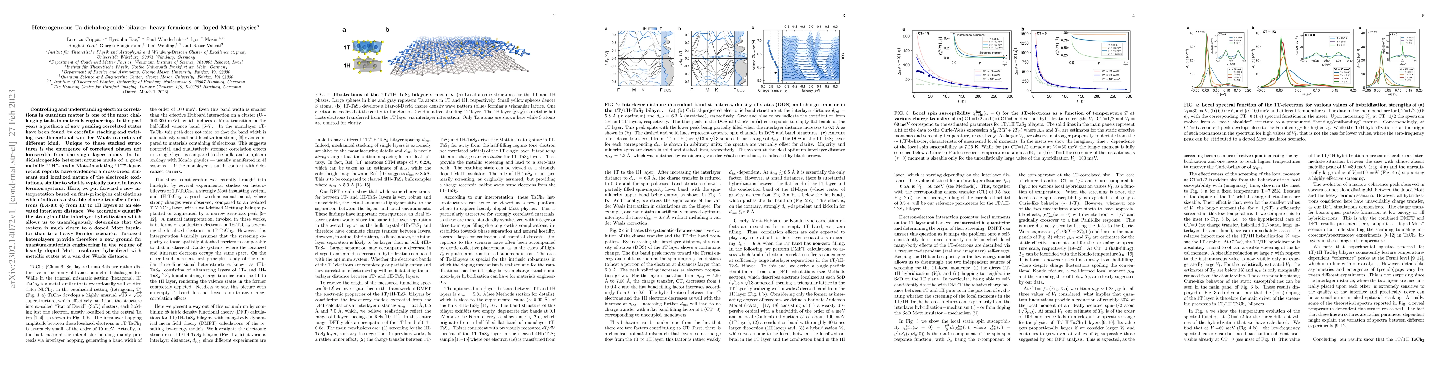 Thumbnail for Heterogeneous Ta-dichalcogenide bilayer: heavy fermions or doped Mott
  physics?