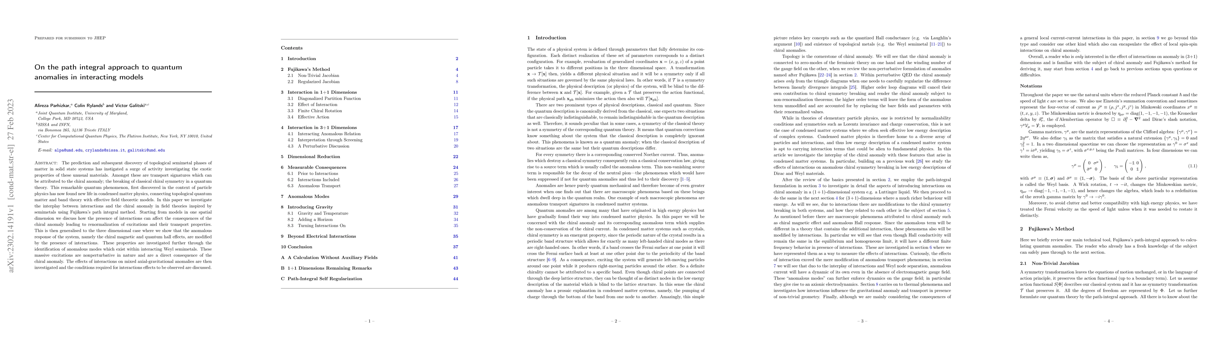 Thumbnail for On the path integral approach to quantum anomalies in interacting models