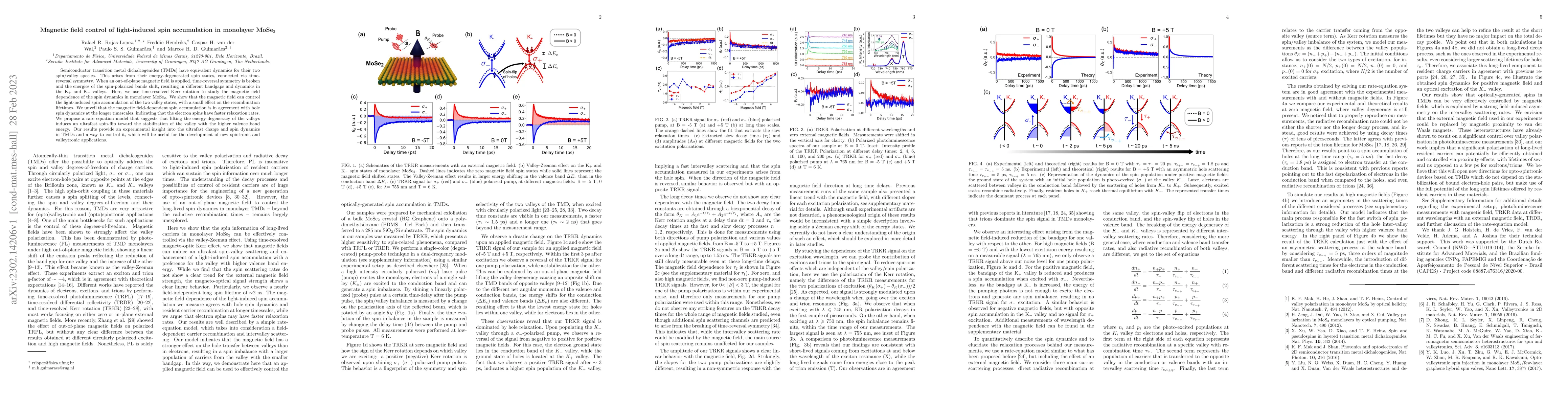 Thumbnail for Magnetic field control of light-induced spin accumulation in monolayer
  MoSe$_2$