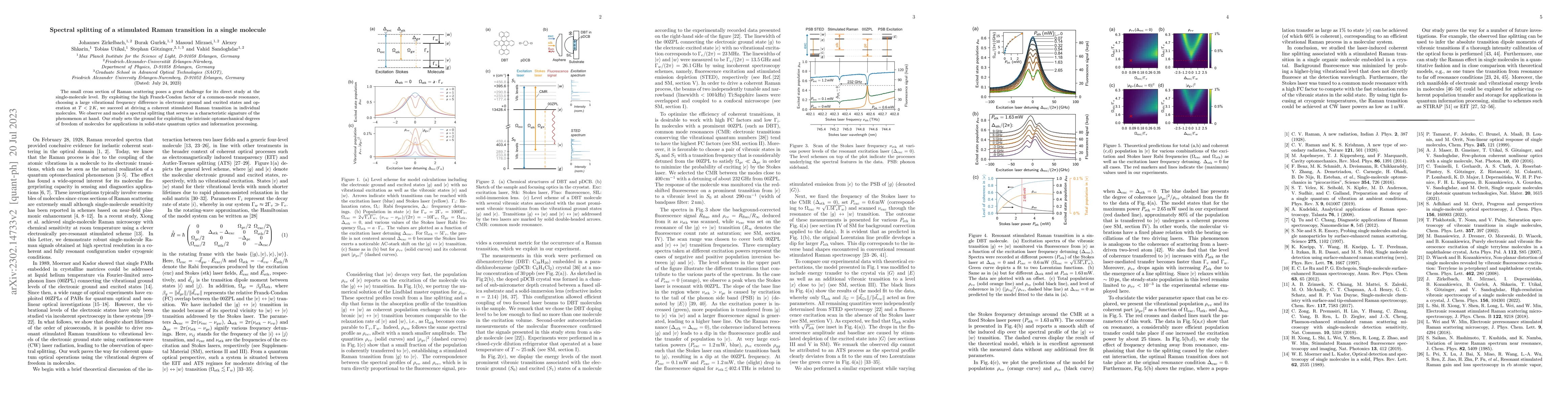 Thumbnail for Spectral splitting of a stimulated Raman transition in a single molecule