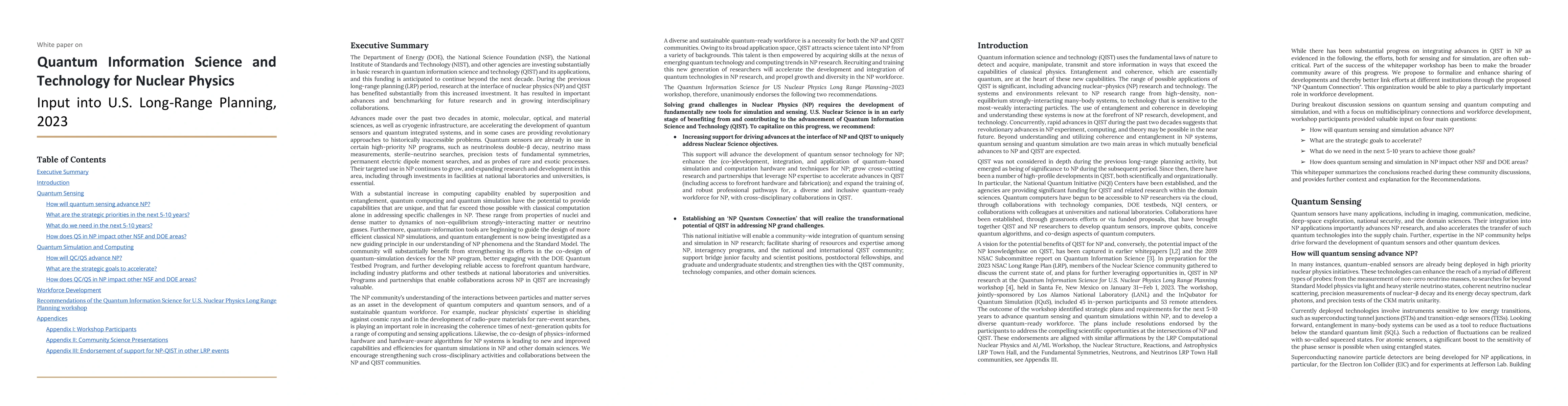 Thumbnail for Quantum Information Science and Technology for Nuclear Physics. Input
  into U.S. Long-Range Planning, 2023
