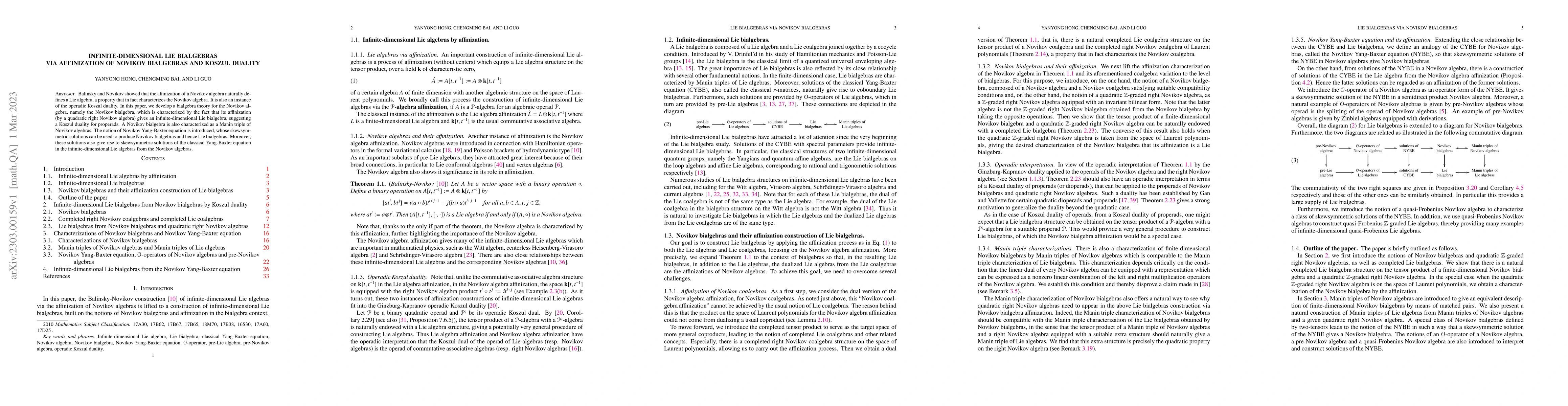 Thumbnail for Infinite-dimensional Lie bialgebras via affinization of Novikov
  bialgebras and Koszul duality