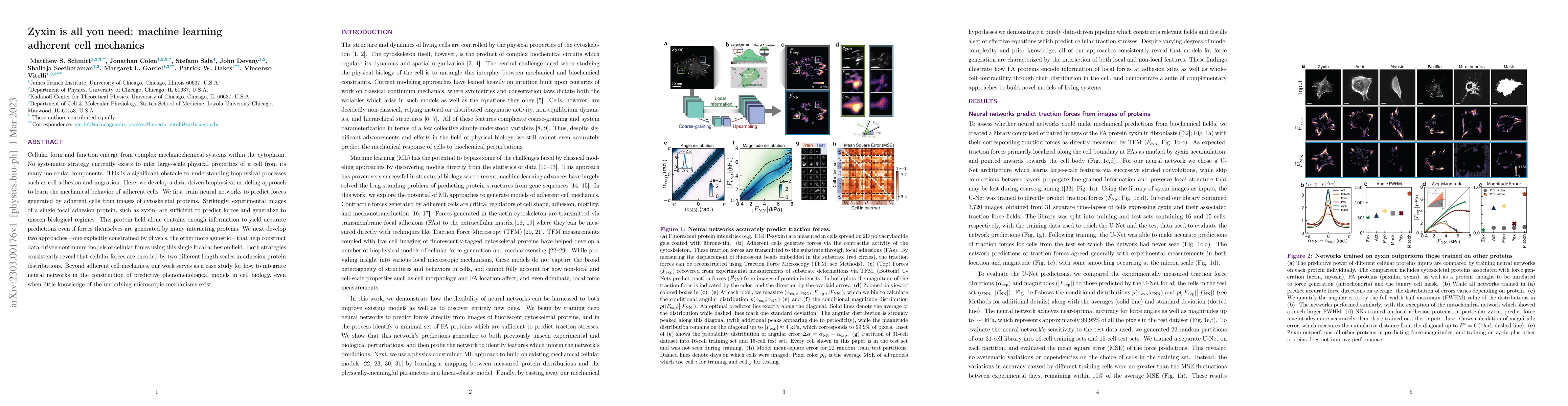 Thumbnail for Zyxin is all you need: machine learning adherent cell mechanics