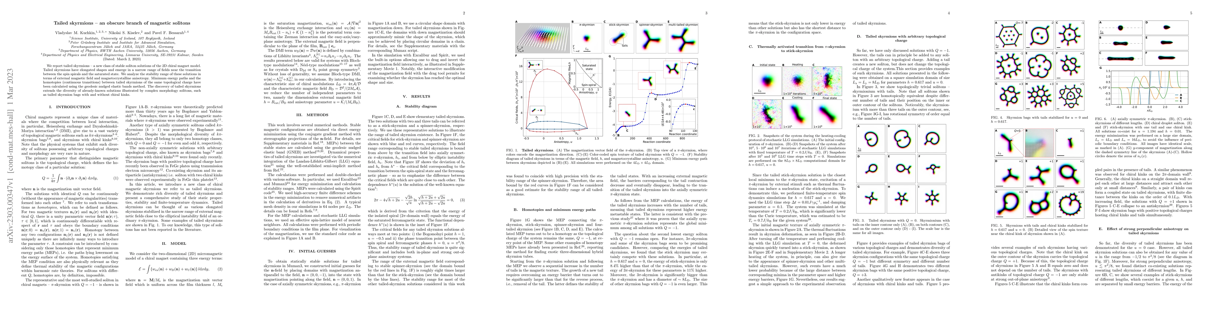 Thumbnail for Tailed skyrmions -- an obscure branch of magnetic solitons