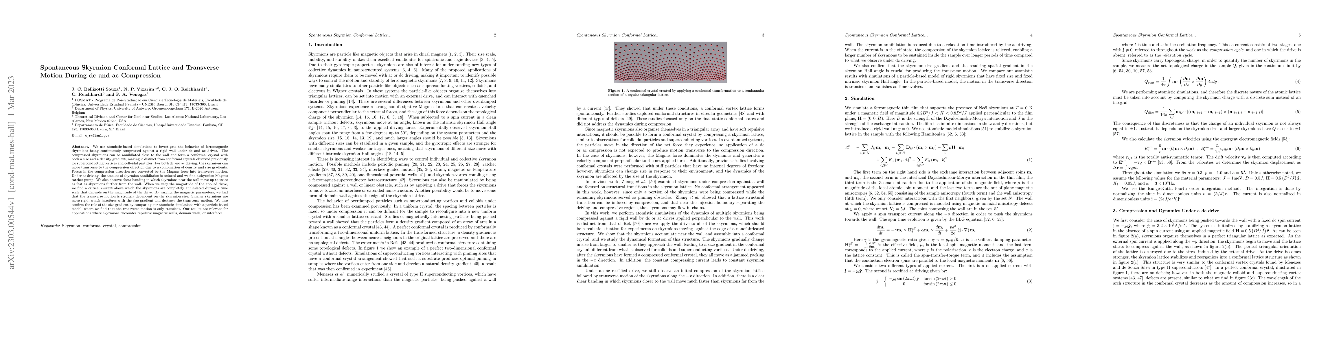 Thumbnail for Spontaneous Skyrmion Conformal Lattice and Transverse Motion During dc
  and ac Compression