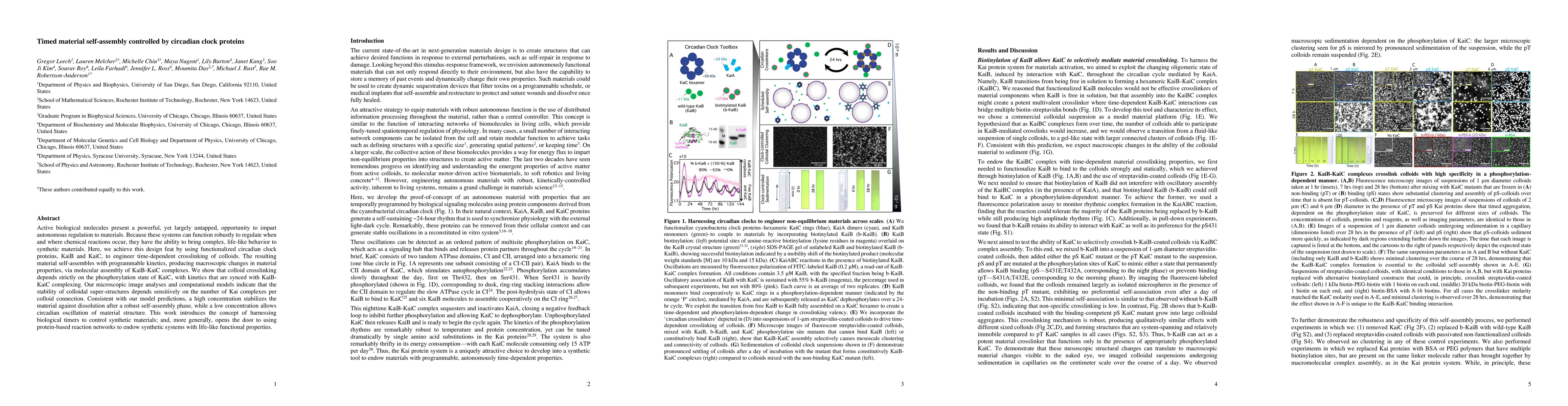 Thumbnail for Timed material self-assembly controlled by circadian clock proteins