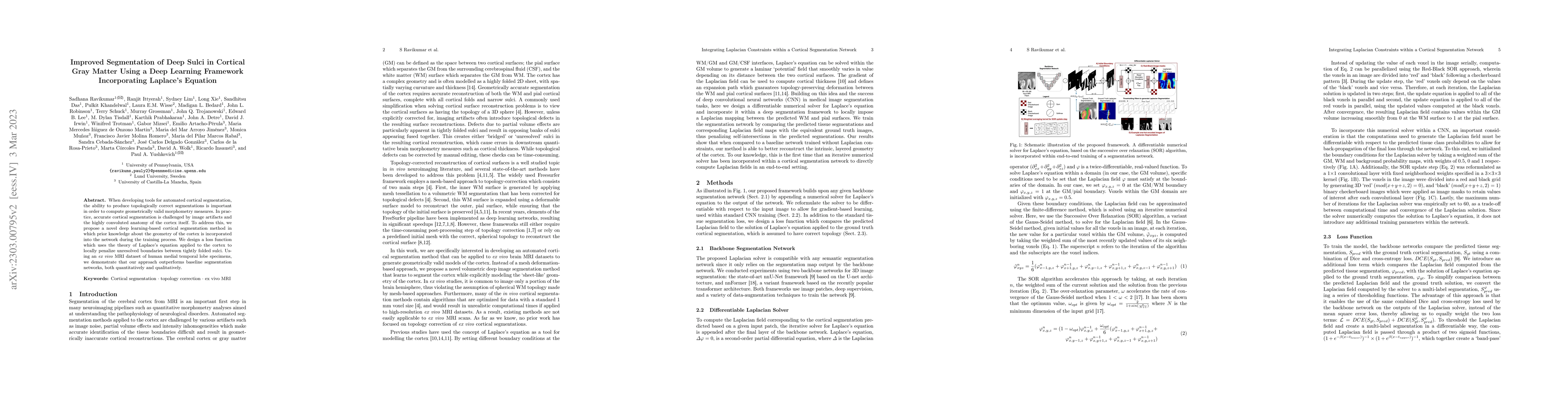Thumbnail for Improved Segmentation of Deep Sulci in Cortical Gray Matter Using a Deep
  Learning Framework Incorporating Laplace's Equation