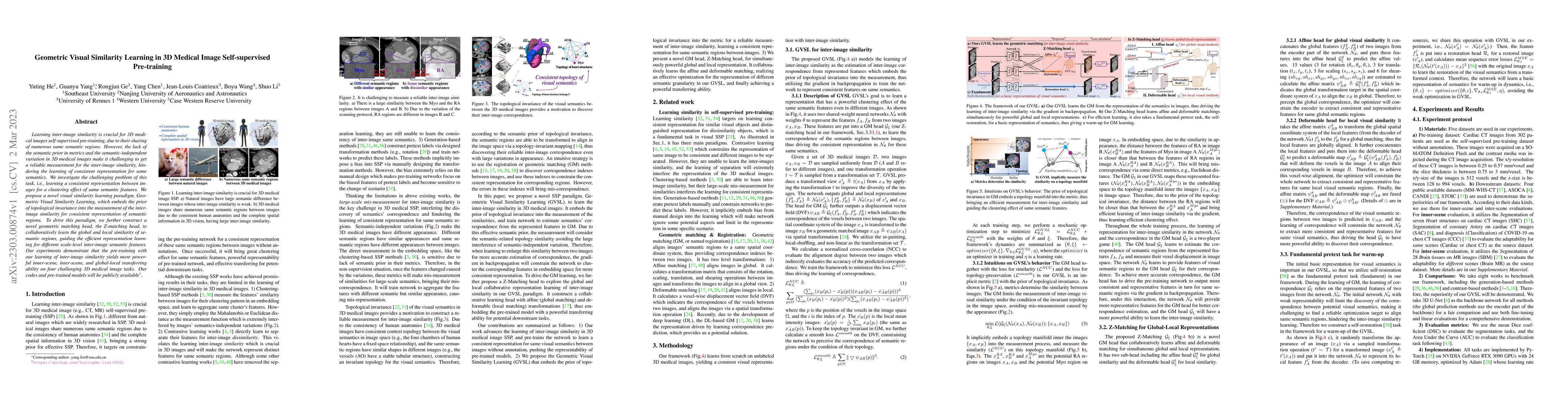 Thumbnail for Geometric Visual Similarity Learning in 3D Medical Image Self-supervised
  Pre-training