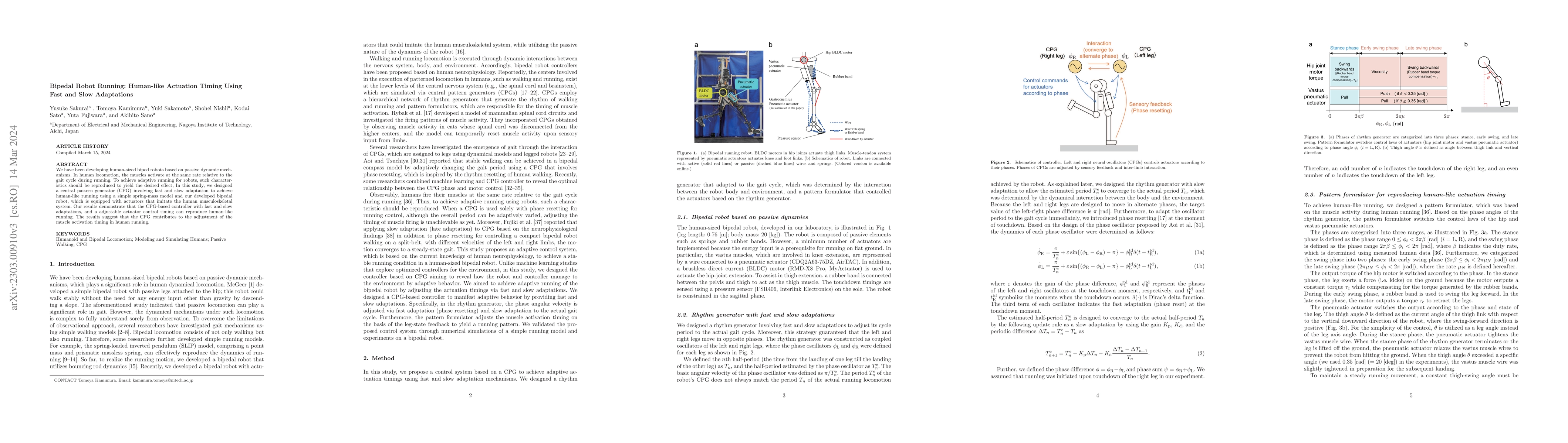 Thumbnail for Bipedal Robot Running: Human-like Actuation Timing Using Fast and Slow
  Adaptations