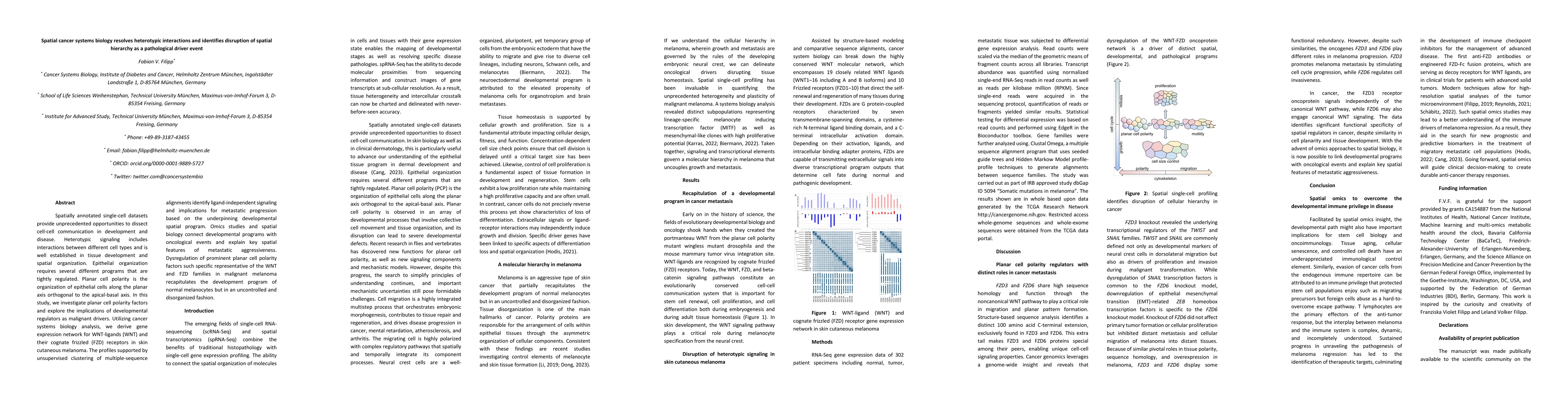 Thumbnail for Spatial cancer systems biology resolves heterotypic interactions and
  identifies disruption of spatial hierarchy as a pathological driver event
