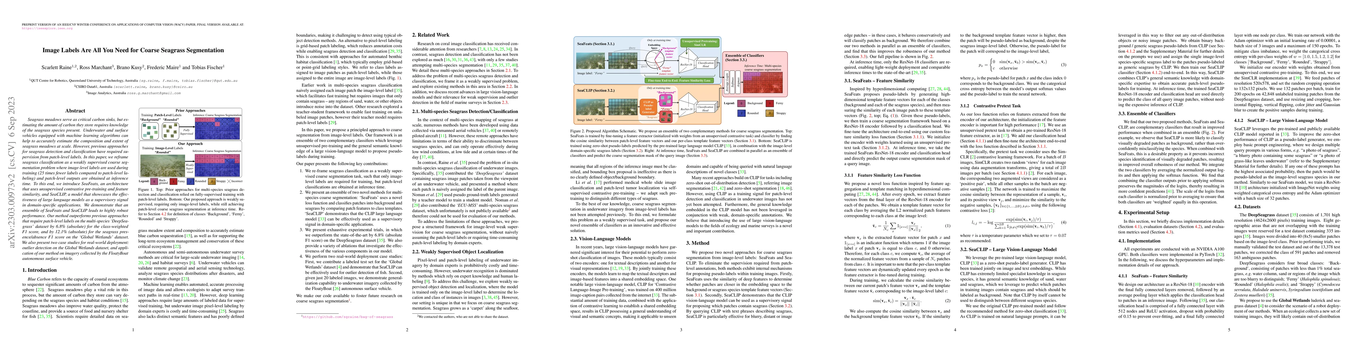 Thumbnail for Image Labels Are All You Need for Coarse Seagrass Segmentation