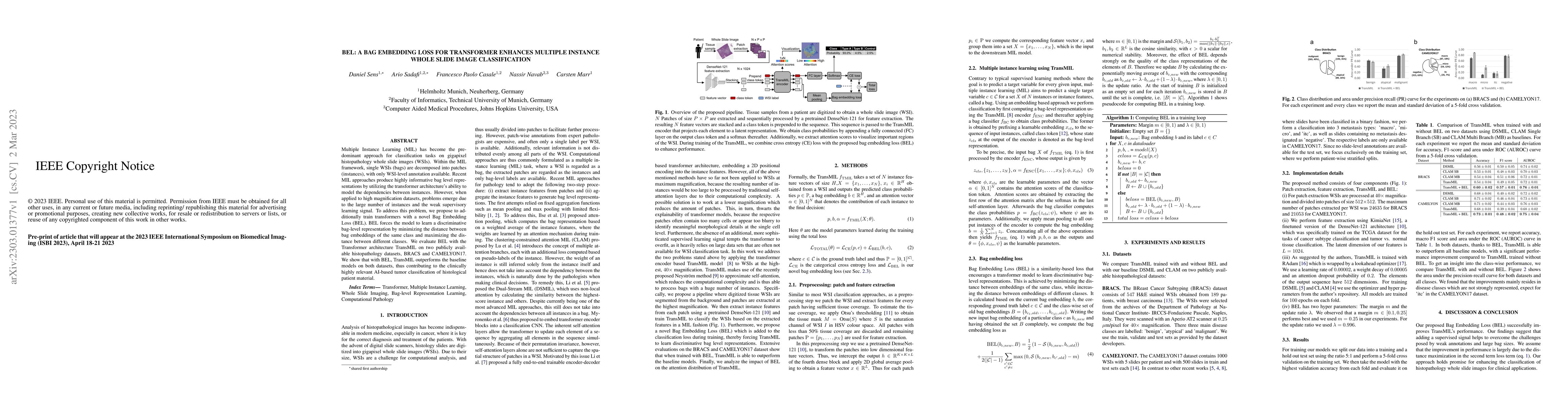 Thumbnail for BEL: A Bag Embedding Loss for Transformer enhances Multiple Instance
  Whole Slide Image Classification