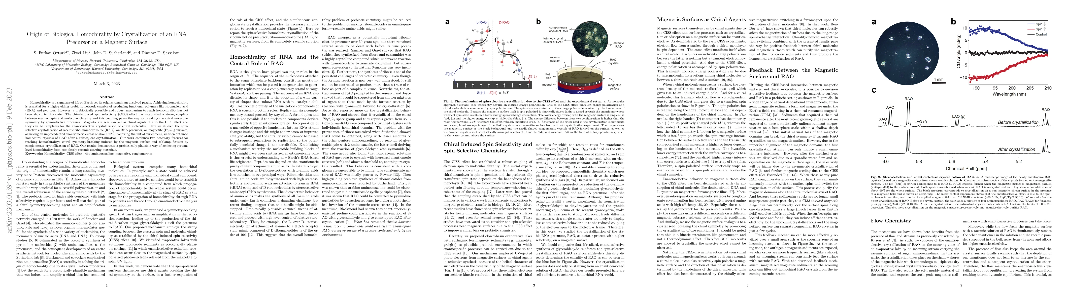 Thumbnail for Origin of Biological Homochirality by Crystallization of an RNA
  Precursor on a Magnetic Surface