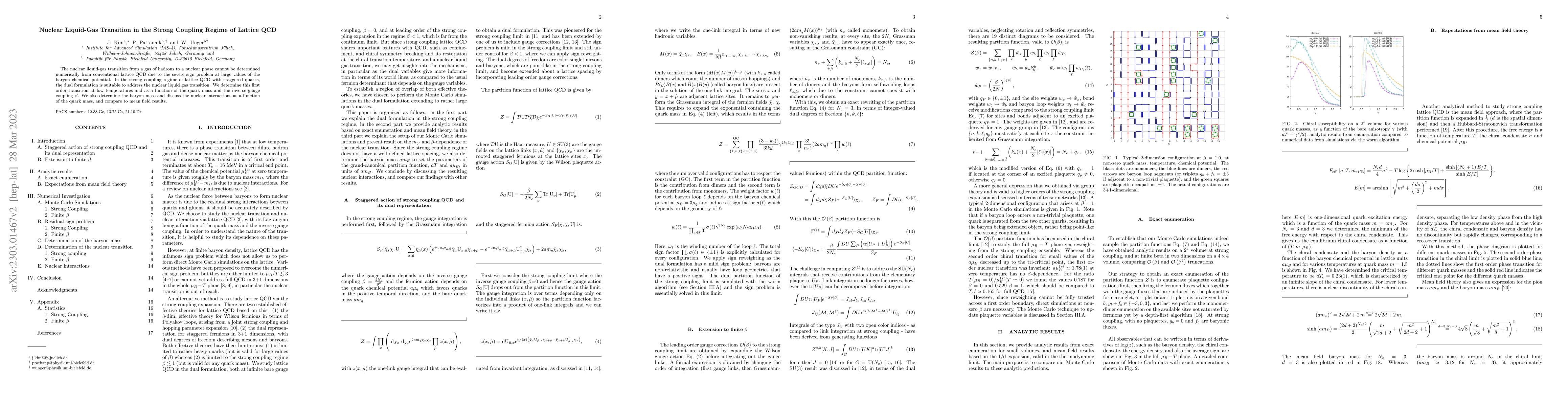 Thumbnail for Nuclear Liquid-Gas Transition in the Strong Coupling Regime of Lattice
  QCD