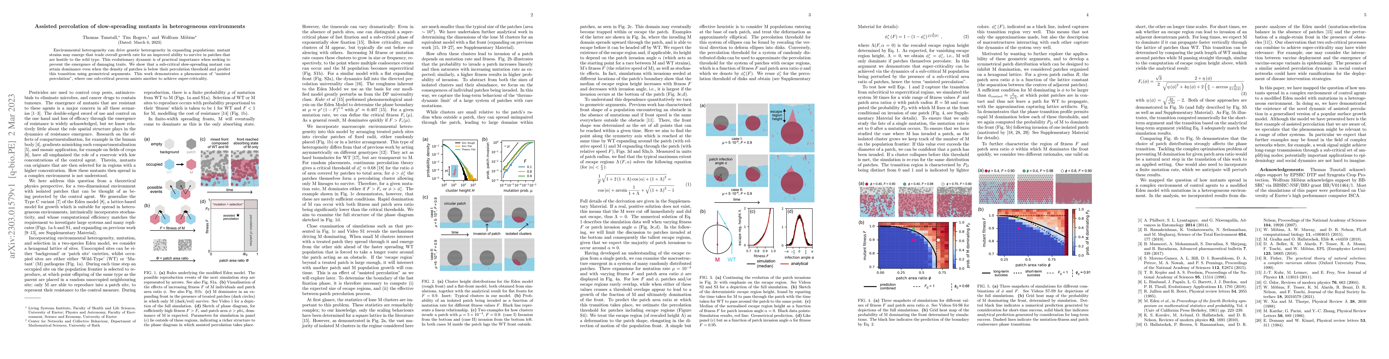 Thumbnail for Assisted percolation of slow-spreading mutants in heterogeneous
  environments