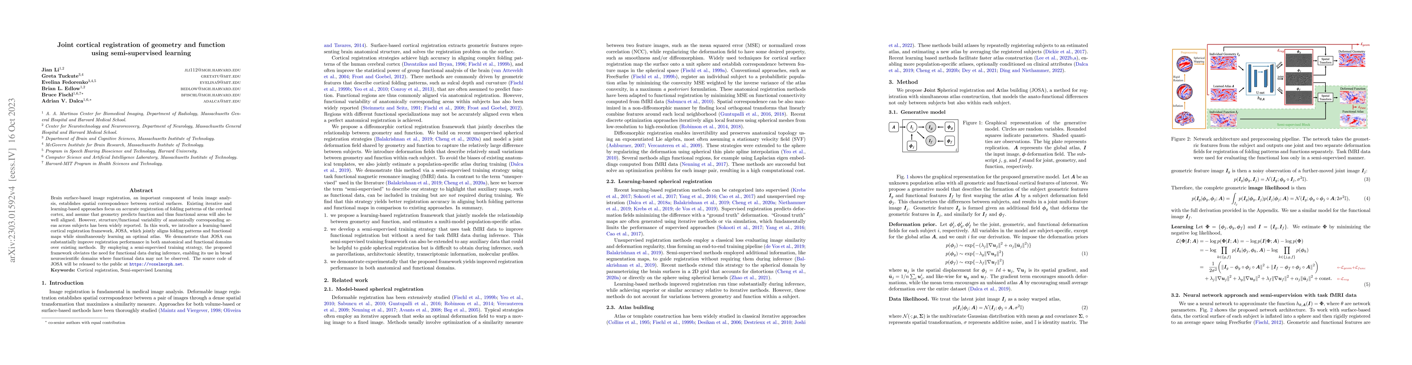 Thumbnail for Joint cortical registration of geometry and function using
  semi-supervised learning