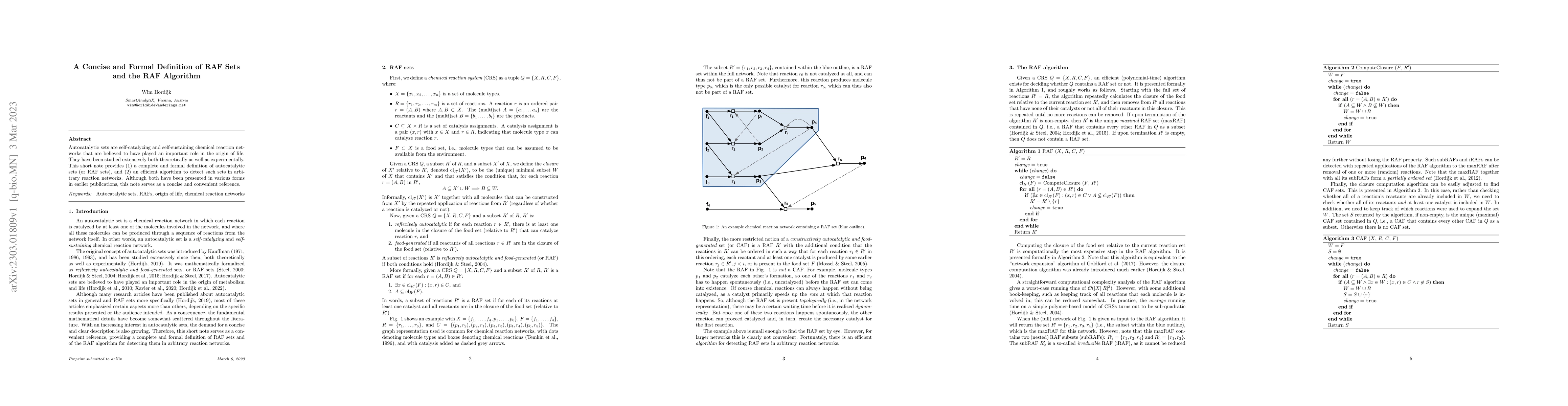 Thumbnail for A Concise and Formal Definition of RAF Sets and the RAF Algorithm
