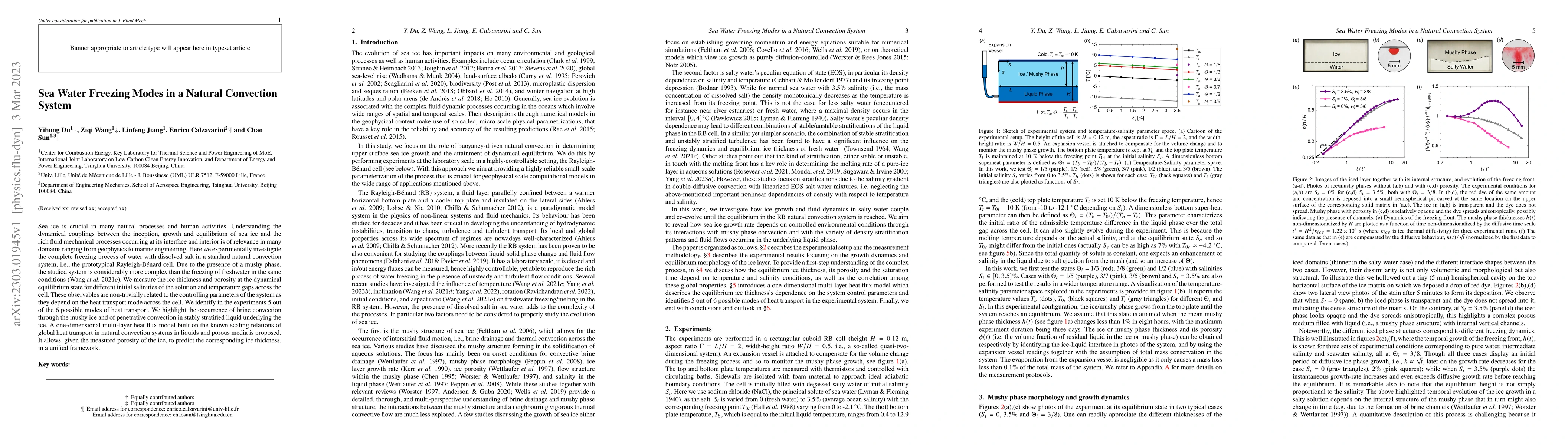 Thumbnail for Sea Water Freezing Modes in a Natural Convection System