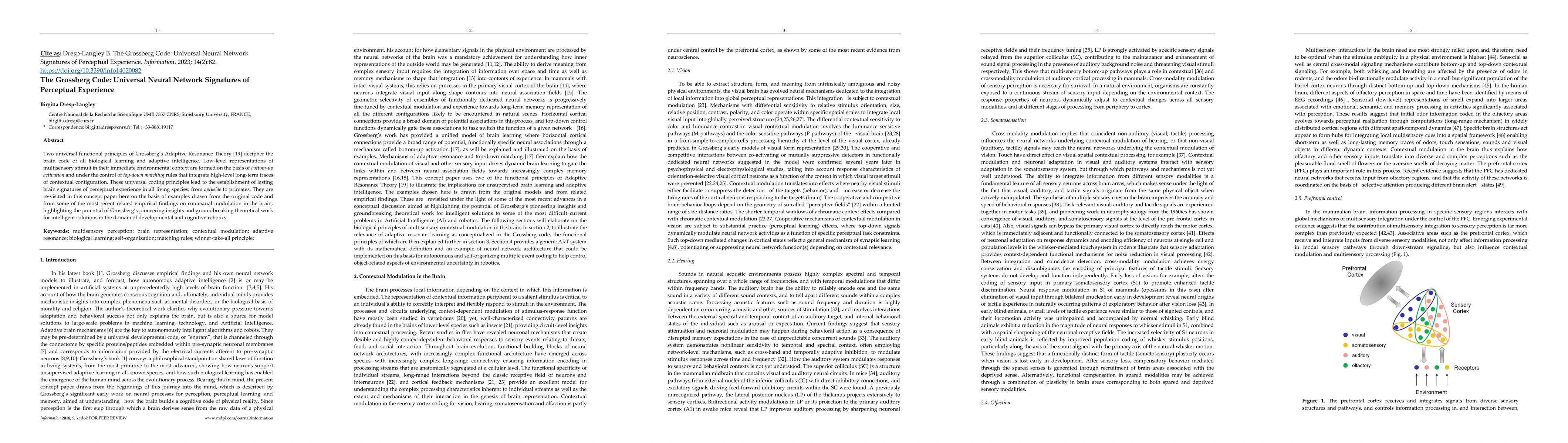 Thumbnail for The Grossberg Code: Universal Neural Network Signatures of Perceptual
  Experience
