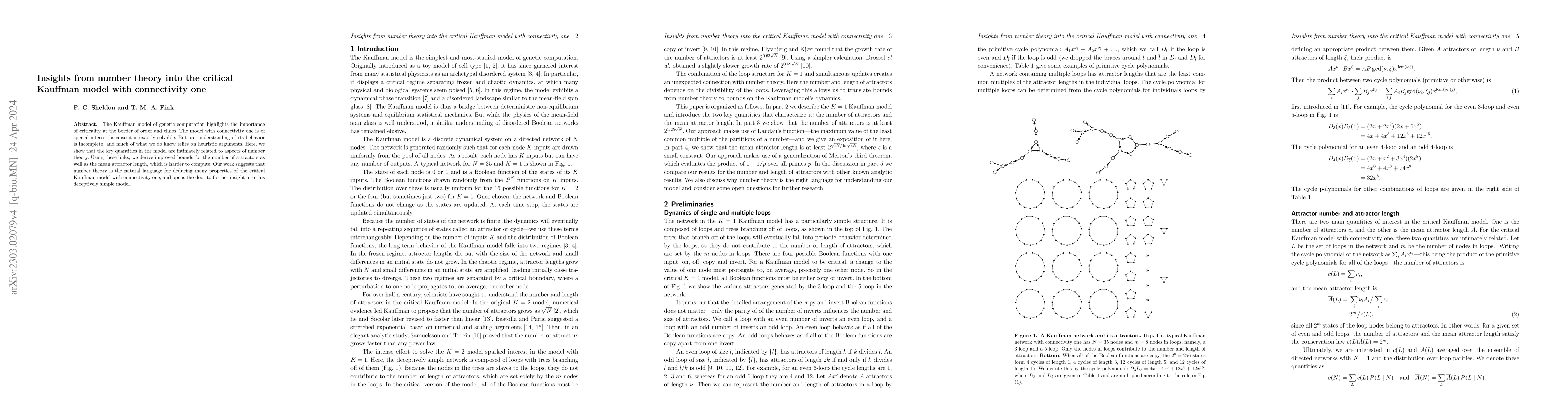Thumbnail for Insights from number theory into the critical Kauffman model with
  connectivity one