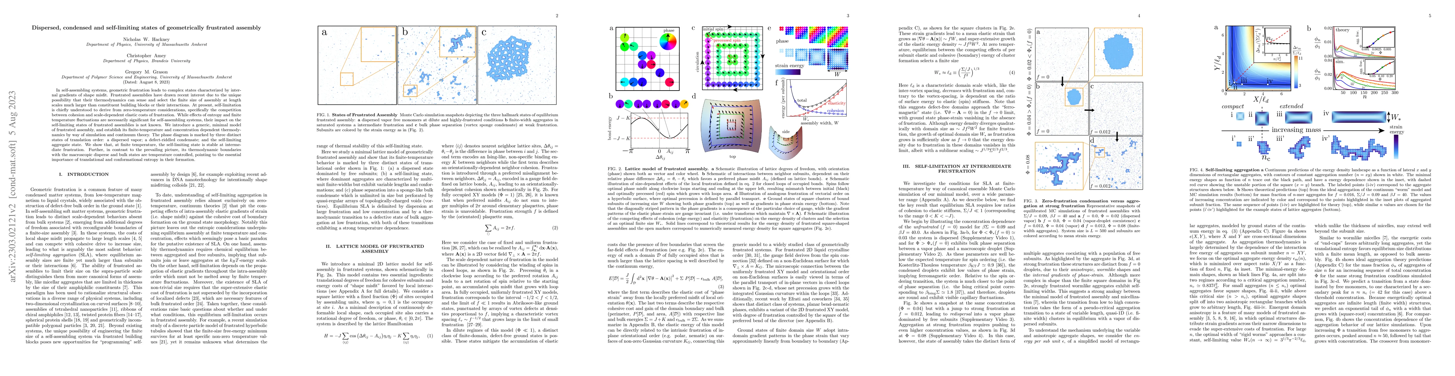 Thumbnail for Dispersed, condensed and self-limiting states of geometrically
  frustrated assembly