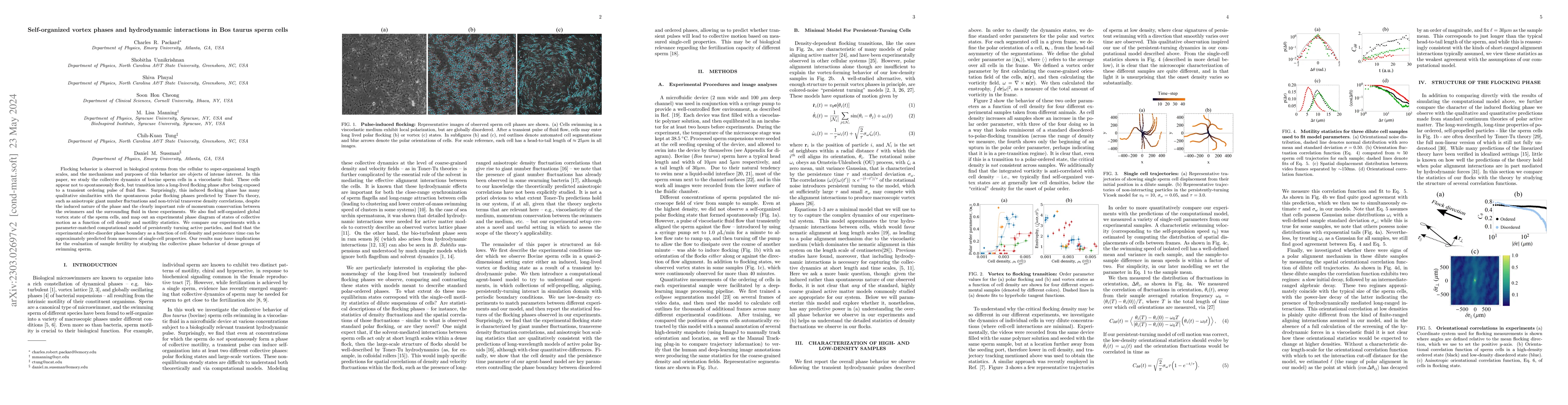 Thumbnail for Self-organized vortex phases and hydrodynamic interactions in Bos taurus
  sperm cells