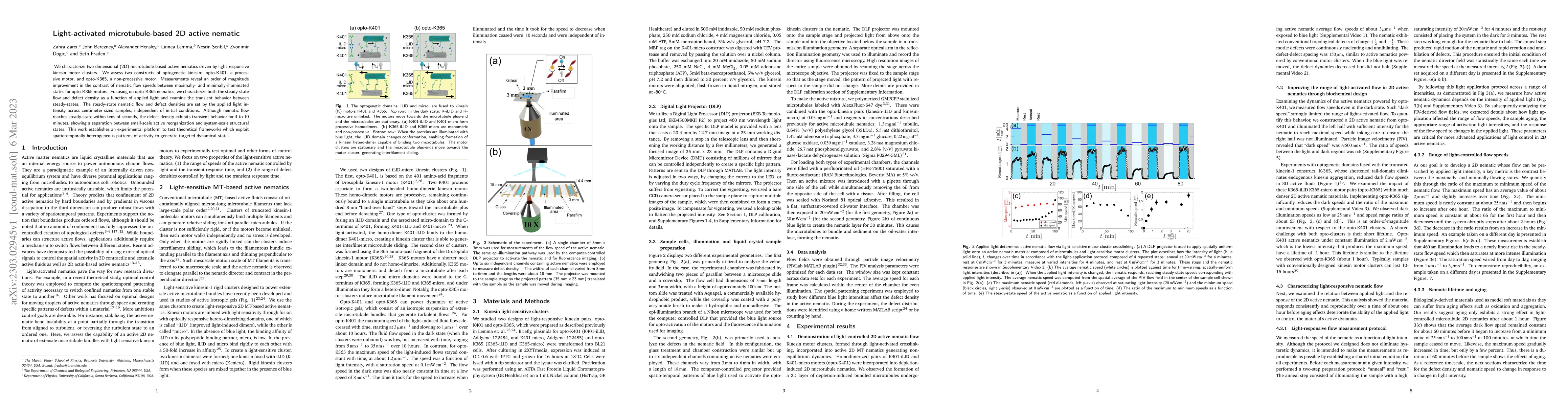 Thumbnail for Light-activated microtubule-based 2D active nematic