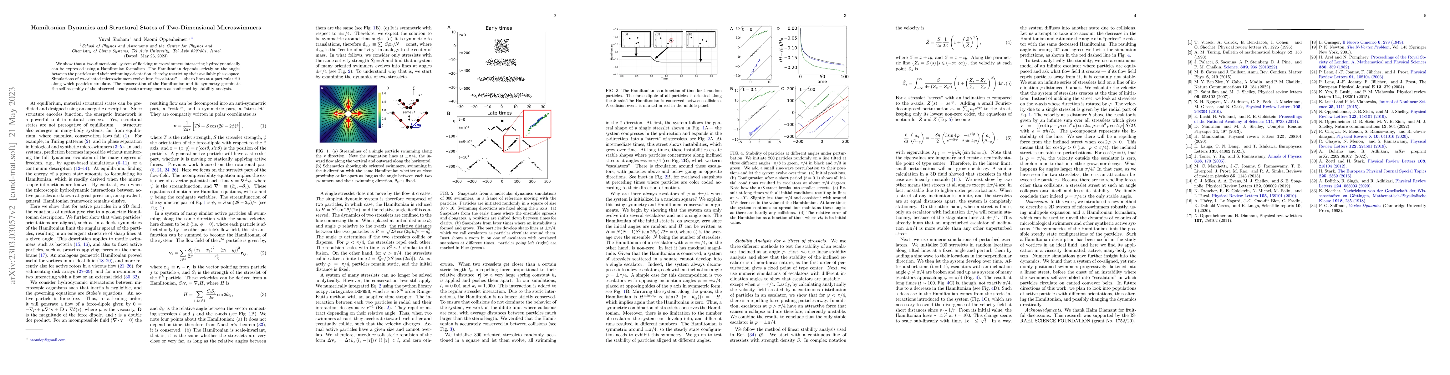 Thumbnail for Hamiltonian Dynamics and Structural States of Two-Dimensional
  Microswimmers