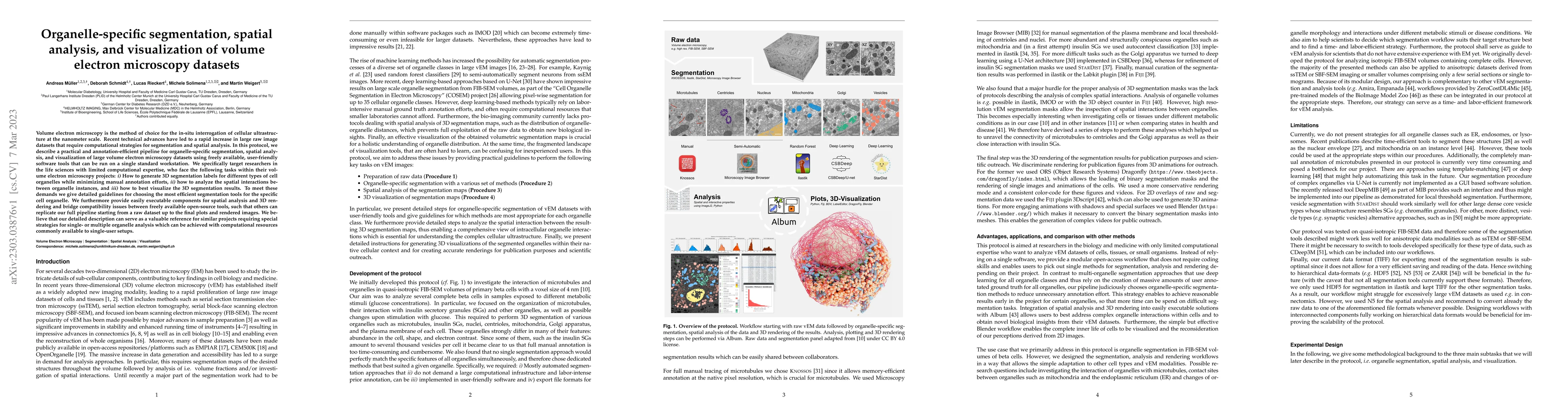 Thumbnail for Organelle-specific segmentation, spatial analysis, and visualization of
  volume electron microscopy datasets