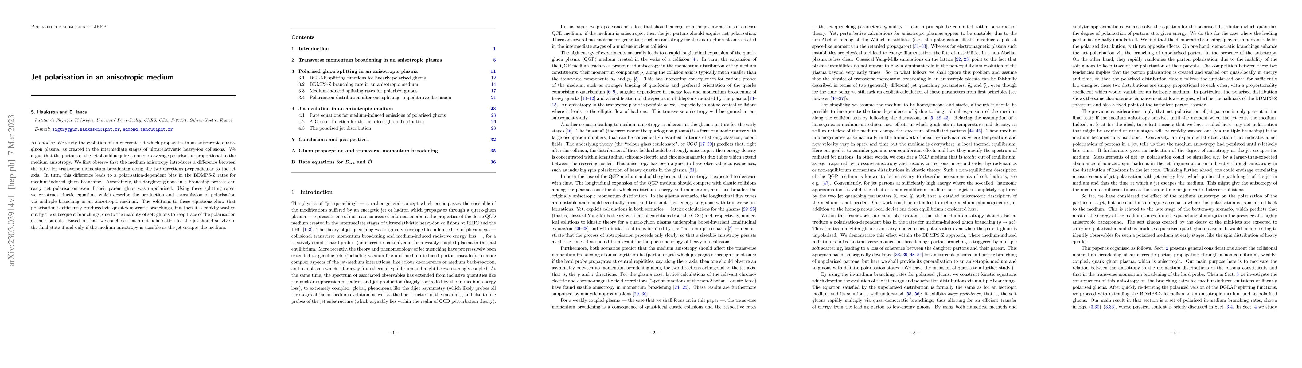Thumbnail for Jet polarisation in an anisotropic medium