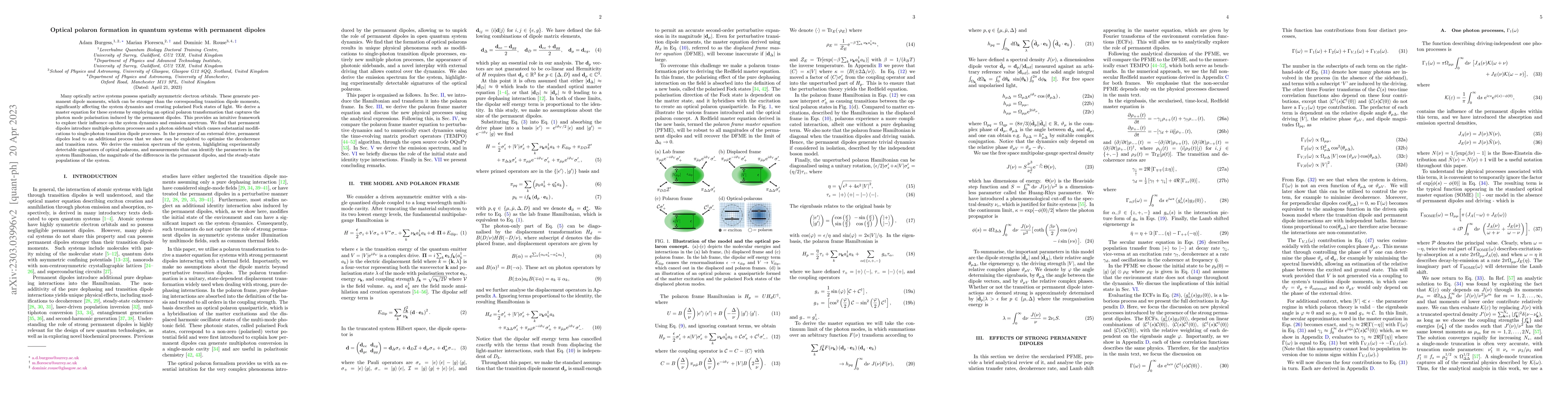 Thumbnail for Optical polaron formation in quantum systems with permanent dipoles