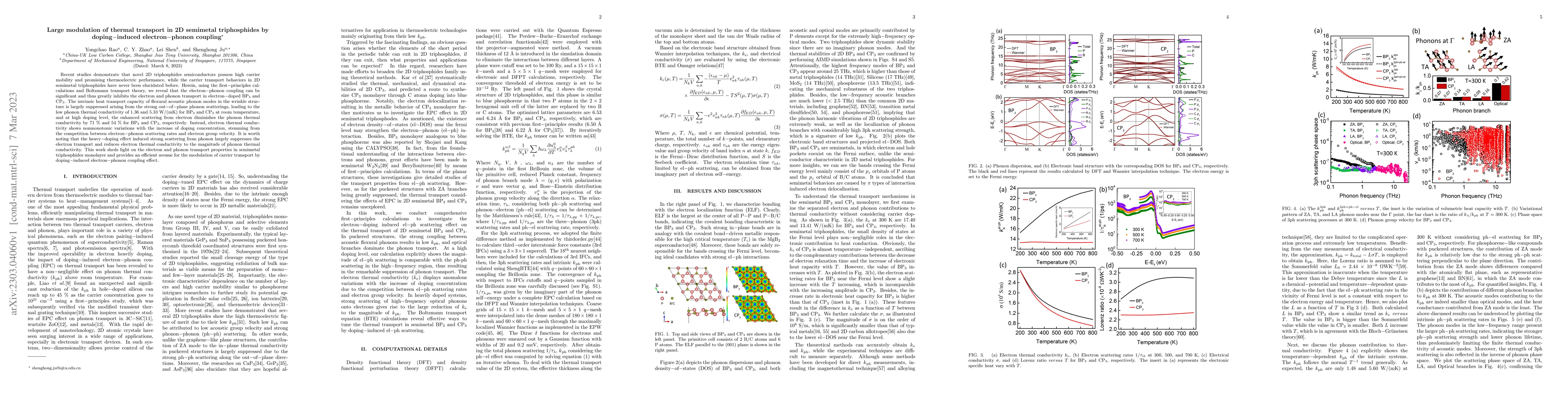 Thumbnail for Large modulation of thermal transport in 2D semimetal triphosphides by
  doping-induced electron-phonon coupling