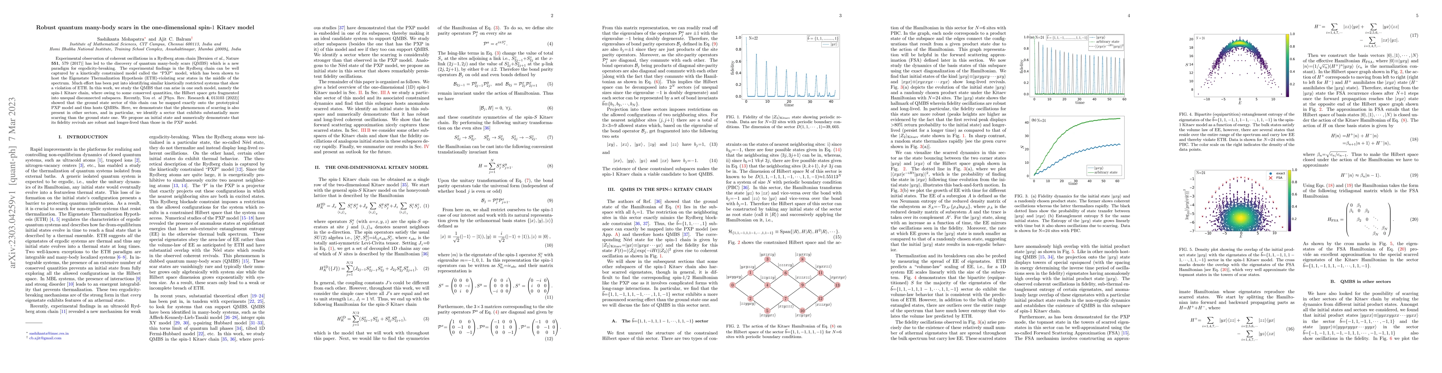 Thumbnail for Robust quantum many-body scars in the one-dimensional spin-1 Kitaev
  model