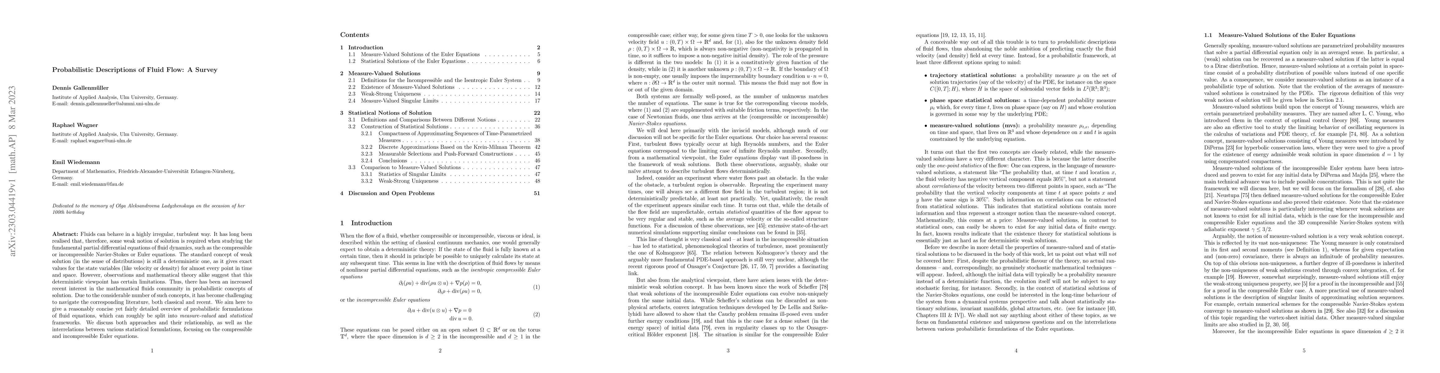 Thumbnail for Probabilistic Descriptions of Fluid Flow: A Survey