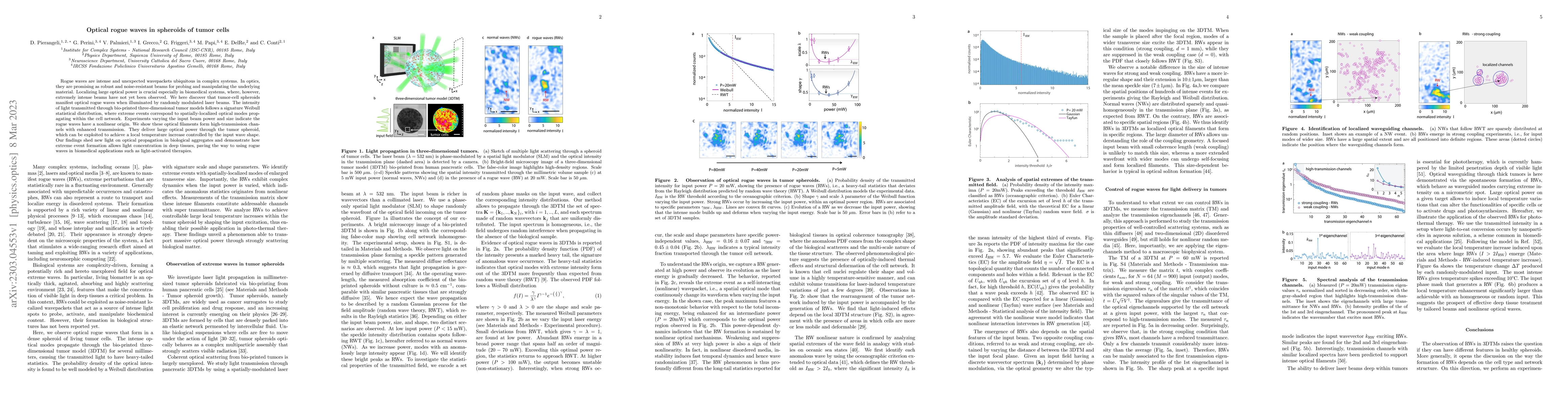 Thumbnail for Optical rogue waves in spheroids of tumor cells