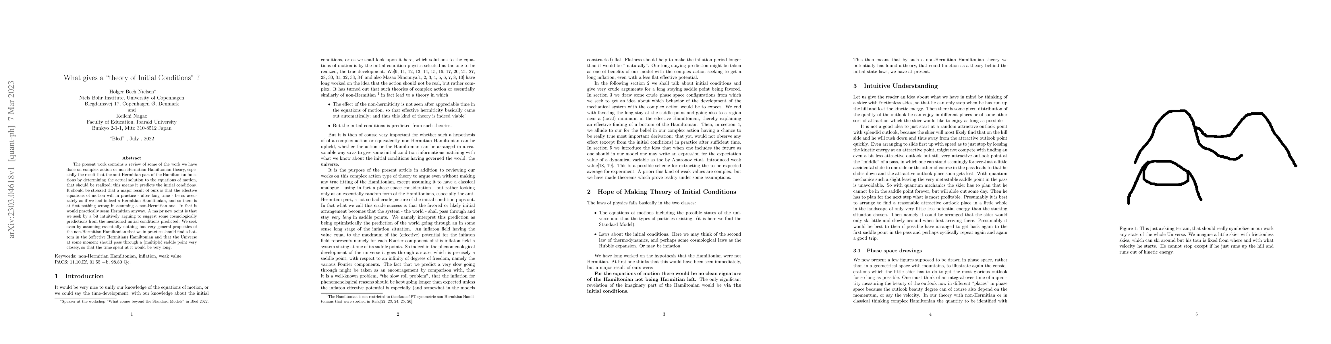 Thumbnail for What gives a "theory of Initial Conditions" ?