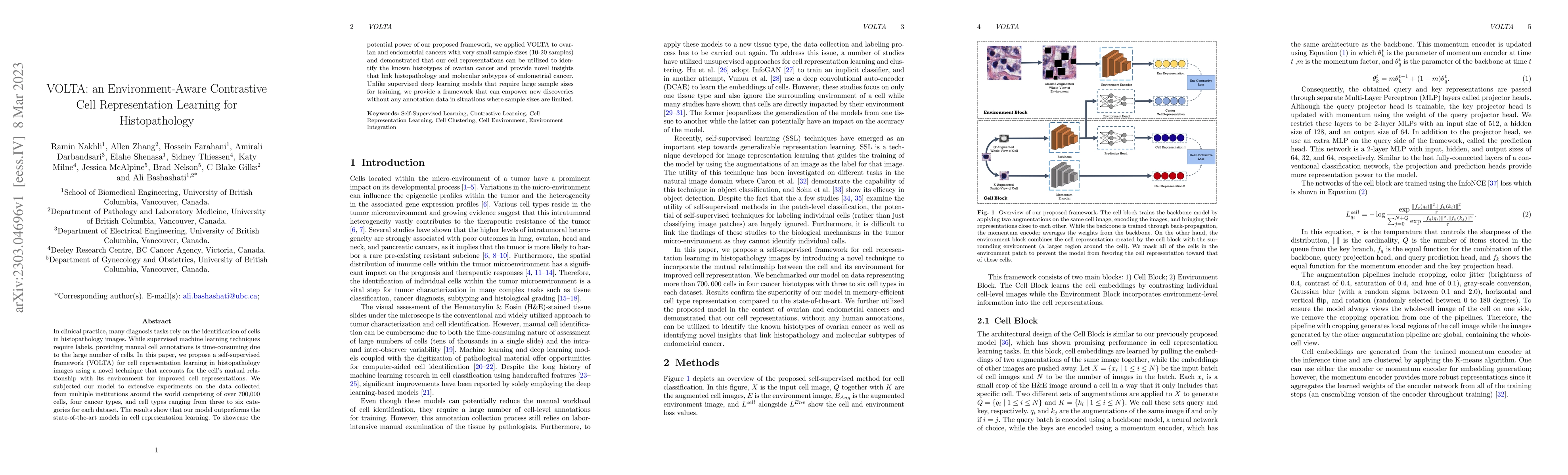 Thumbnail for VOLTA: an Environment-Aware Contrastive Cell Representation Learning for
  Histopathology