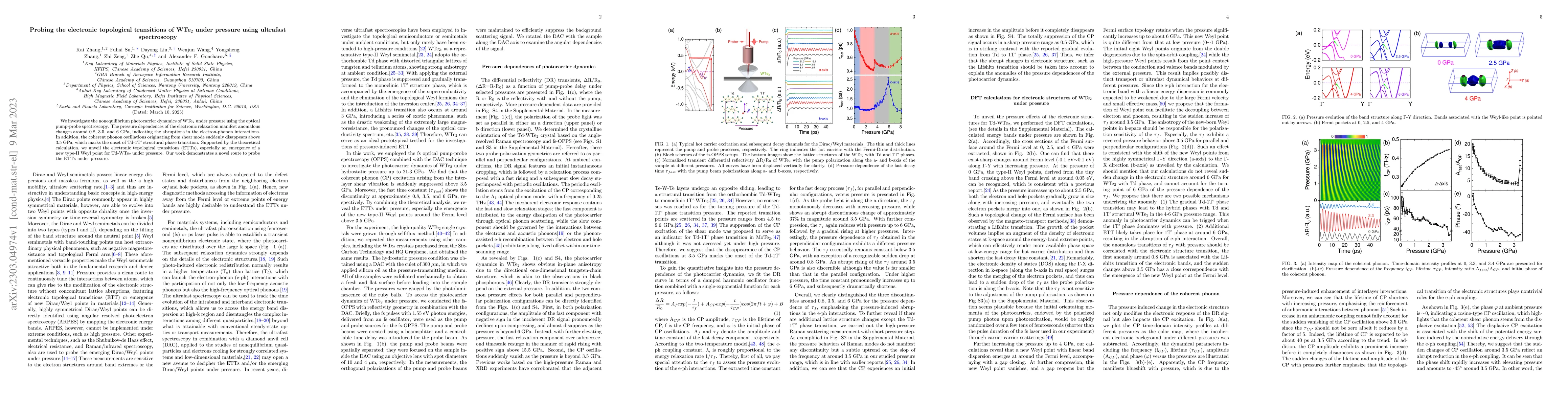 Thumbnail for Probing the electronic topological transitions of WTe2 under pressure
  using ultrafast spectroscopy